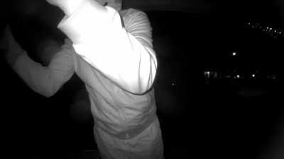 Found this on my Doorbell Camera. Speechless.