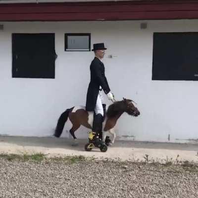 A new way to be environmentally friendly, sell your cars now !!