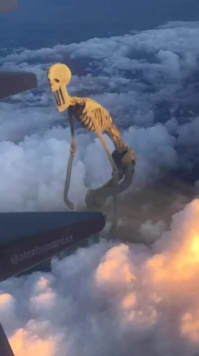 Coming This October- 12,000 Foot Skeleton!