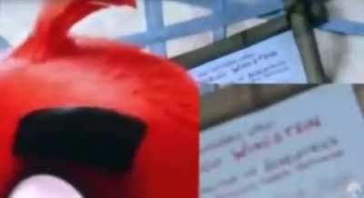 Proof the Angry Birds Movie is Right Wing Propaganda