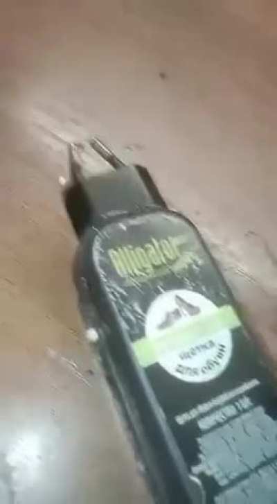 Опасный поцык