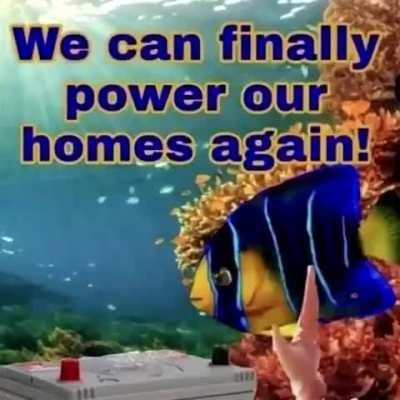 Big Recycling doesn't want you to know that used car batteries belong in the ocean. 