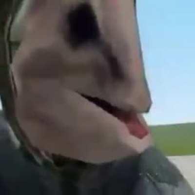 What playermodel is used in this video?