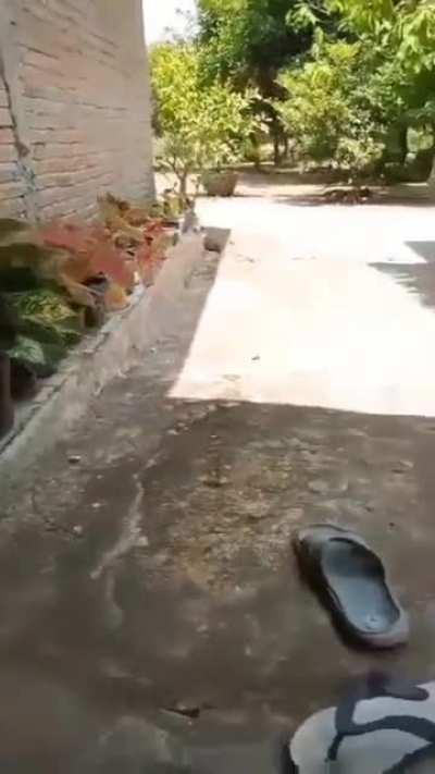 She Needs a Sandal With Fish 🥴