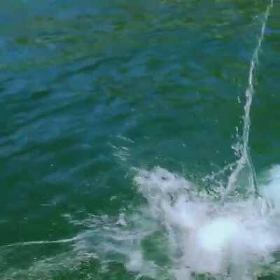 This ass piece of Deepika Padukone deserves a place here, doesn't it?