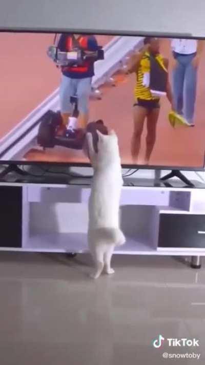 Cat trips people with his powers