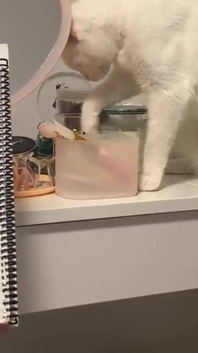 I was wondering how my Q-Tips always ended up on the floor..