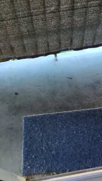 I heard something at the front door.