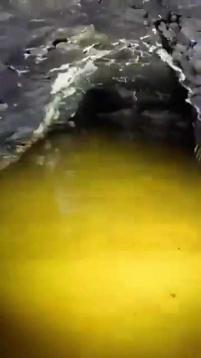 Somebody found a cave and decided to enter.