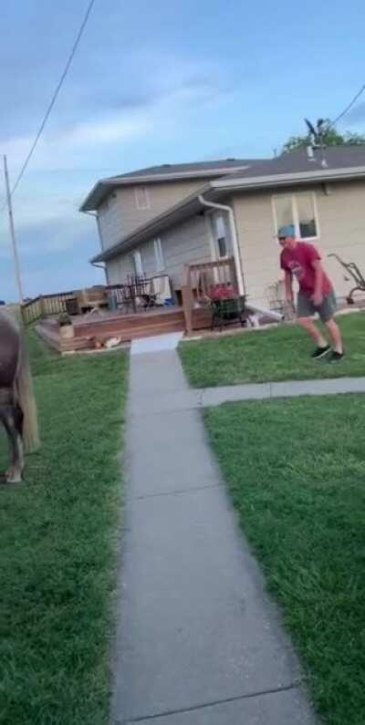 to get on horse