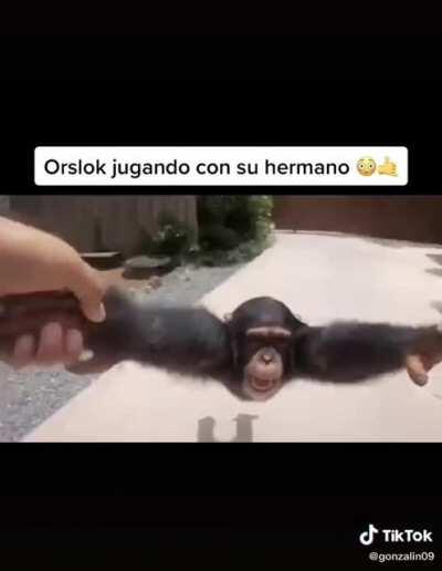 Watafak el gemelo de orson?