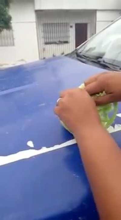 Tranki la nona de Hurlingham