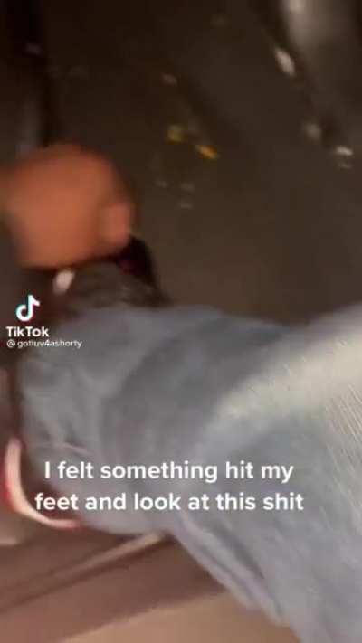 Finding a hole in your car