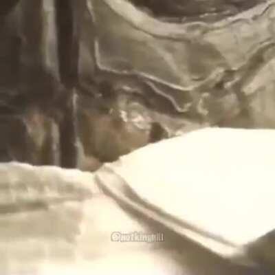 6 year old when they discovered porn: