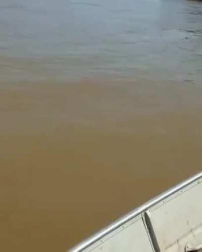 Aqui nos damos carona