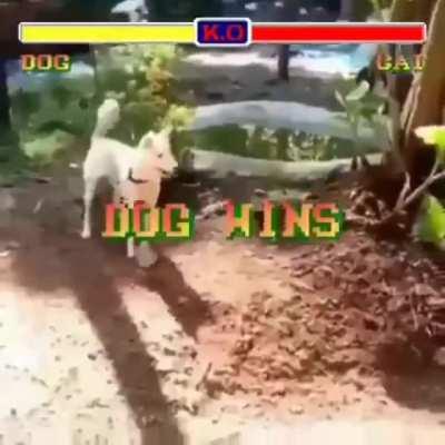 Dog vs Cat video game style
