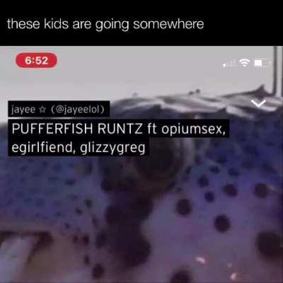 They ain’t making it out the hood😹