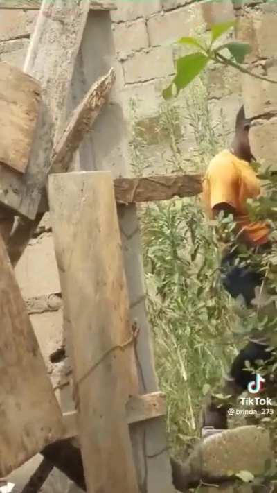 I spy with my lil eye