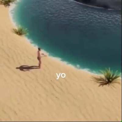 How to find a dead whale and cry on it and make him come back to life