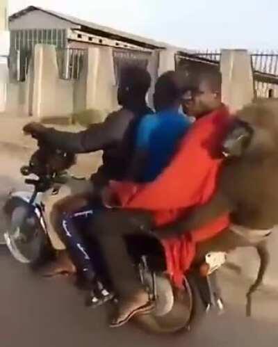 Recebi isso no zap devo me preocupar??