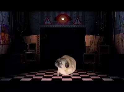 Best thing I’ve ever seen