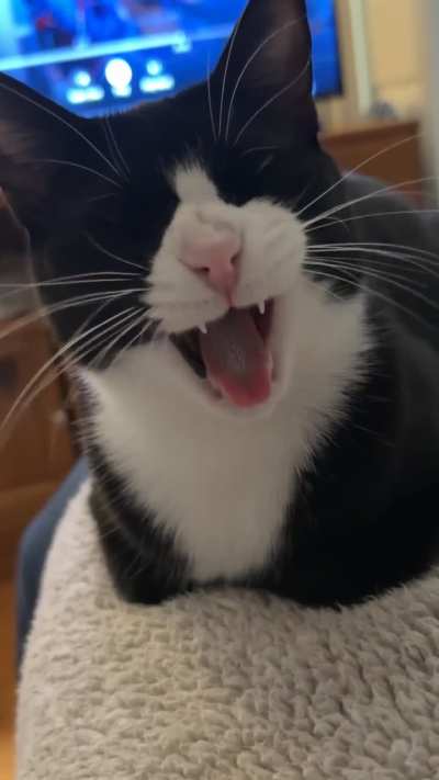 She mocks me every time I cough