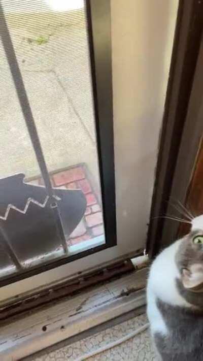 The scream team wants to be released back into the wild.