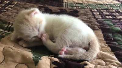 2 week old baby washing his toesies.