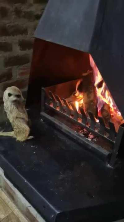 The best way to roast nuts...