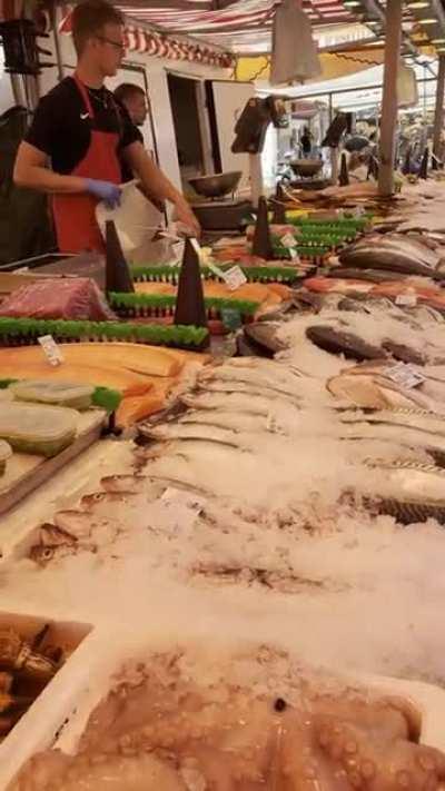 Anti-bug fans at the fish market