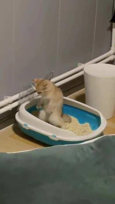 What is the little guy doing?