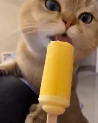 Popsicles are soo good!