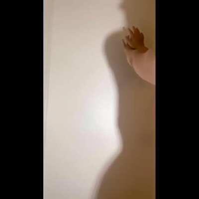 A shadow come to life...