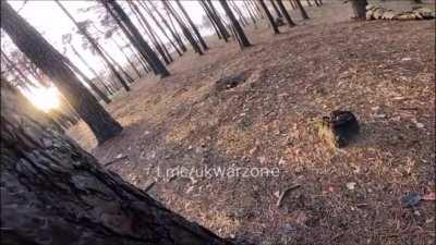 Reconnaissance-in-force: A Ukrainian unit is collecting information on the enemy in the woods of the currently occupied city of Kreminna, Luhansk oblast. (No date given, audio from source).