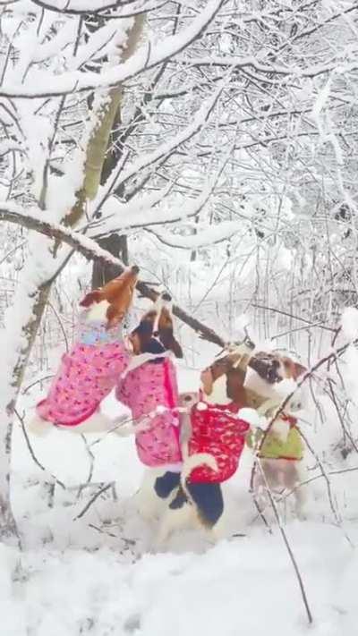 Паааалочка!!!