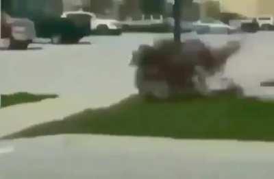 20$ says this is in Florida