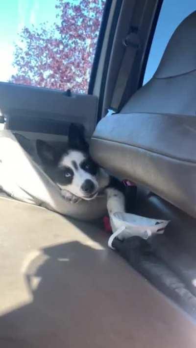 This is my favorite.