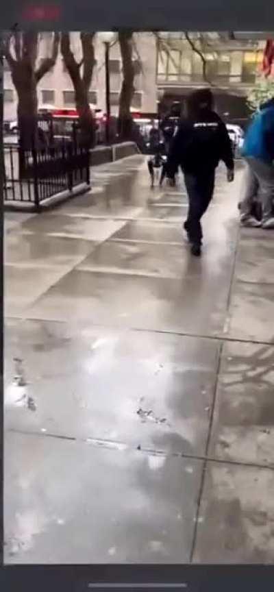 NYPD in 2022 using robotic K9s