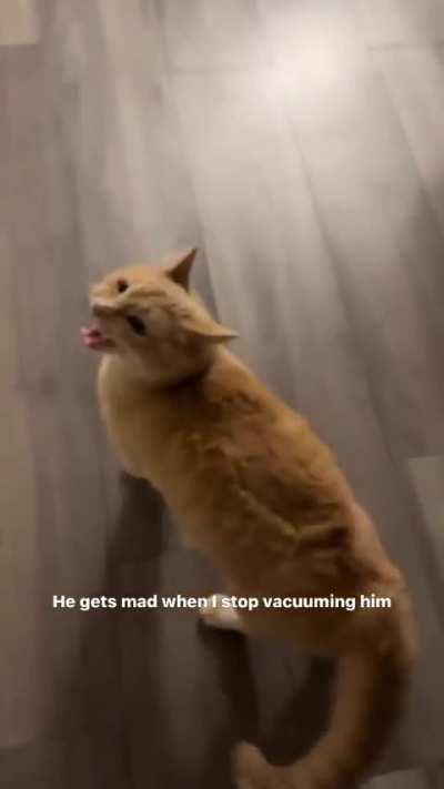 Average vacuum enjoyer