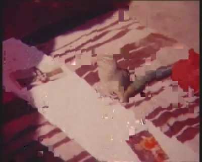 Prayagraj Kumb Mela 1954