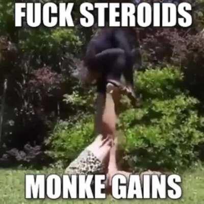Monke Man: Master of the Monke Gains. Uses the Monke Style of fighting. Also has 2 monke pets that help him fight.