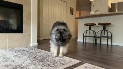 Happy one year, Agatha!