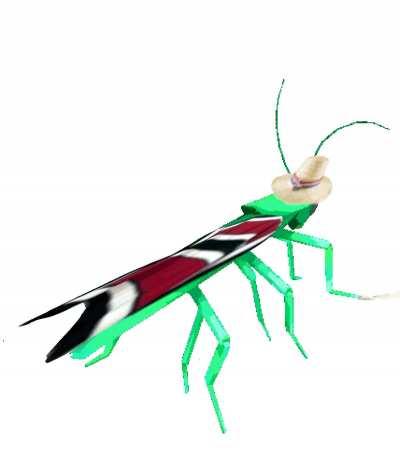 Çhiłęăņ cöwbõy brøthëŕ