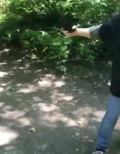 Well I mean she kicked him but f it this flair still works (karen)