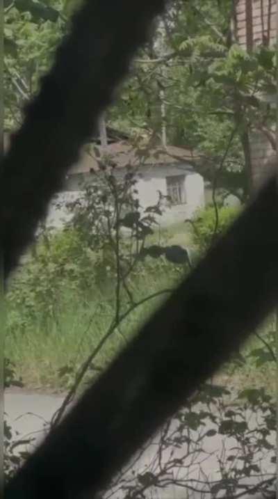 Russian rebels advance from building to building under cover fire. Shebekino, Russia