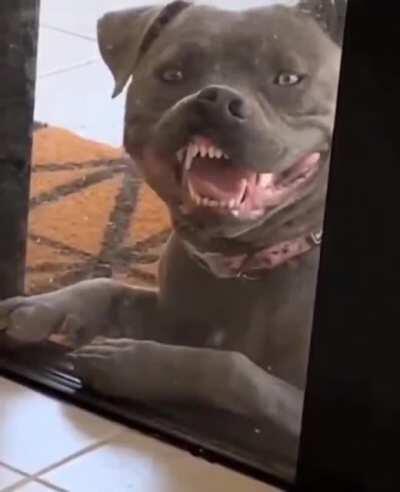 Am I doing this smile thing right?