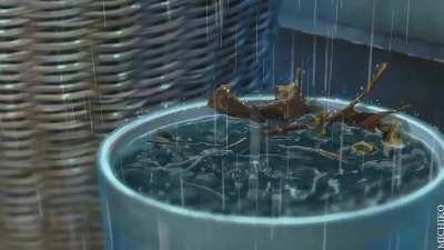 A Beautiful Rainy Day Portrayed Through Anime