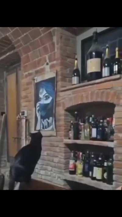 Everything is perfect 