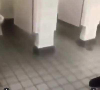 Size and strength matters...