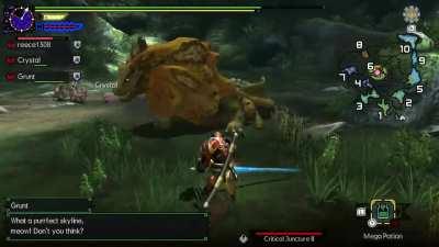 When you finally get a hang of the valor counter